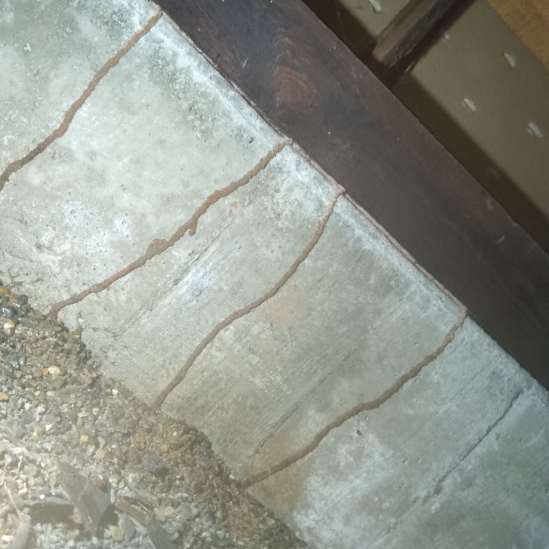 築年数52年のシロアリ駆除の施工事例（福井県福井市志比口）