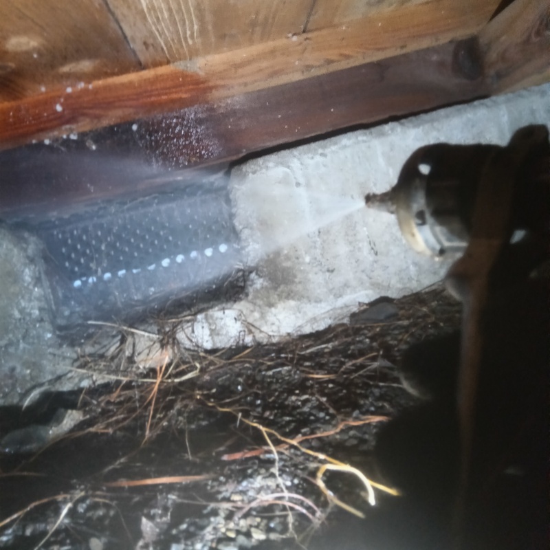 床下の木材にシロアリ駆除剤を散布