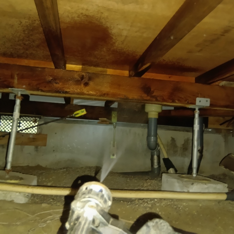 床下の木材にシロアリ駆除剤を散布