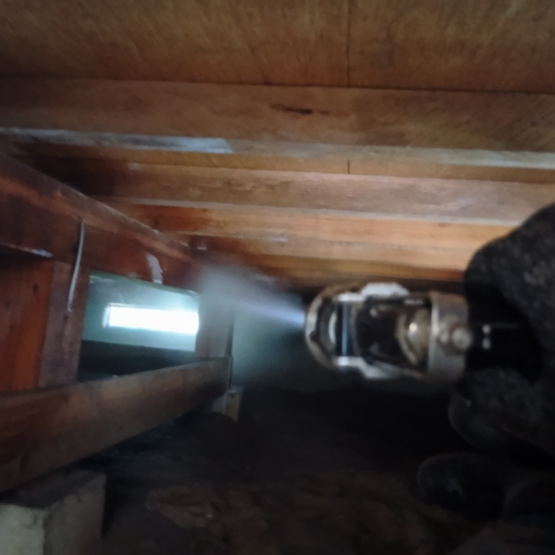 床下の木材にシロアリ駆除剤を散布