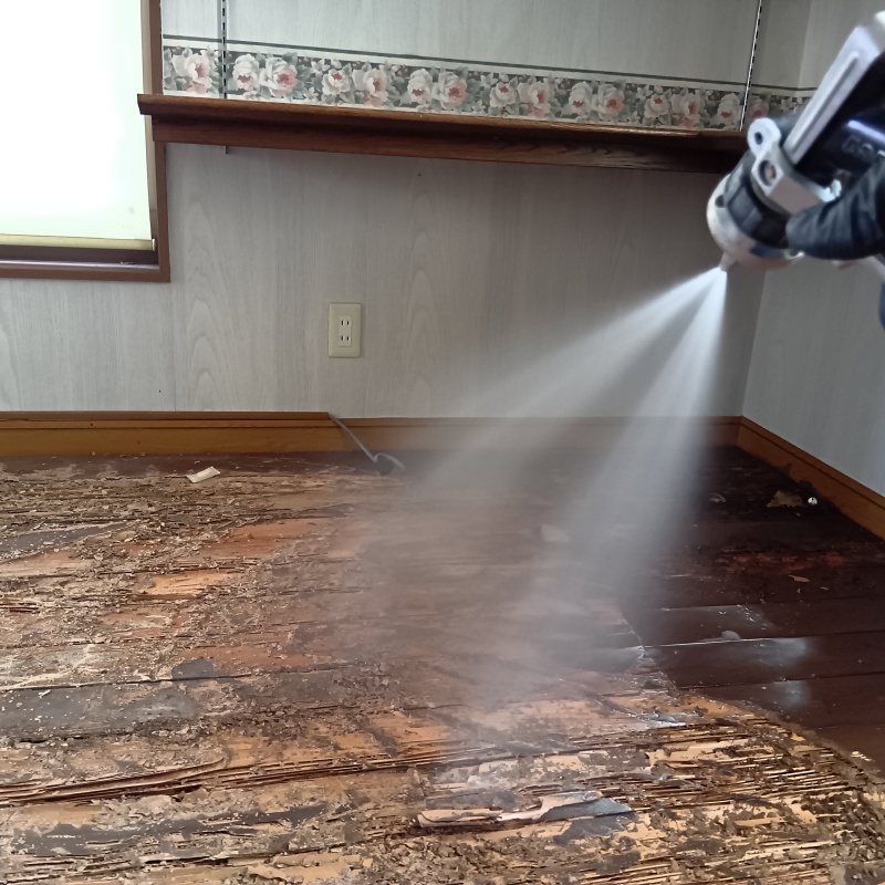 腐食した床板にシロアリ駆除剤を散布