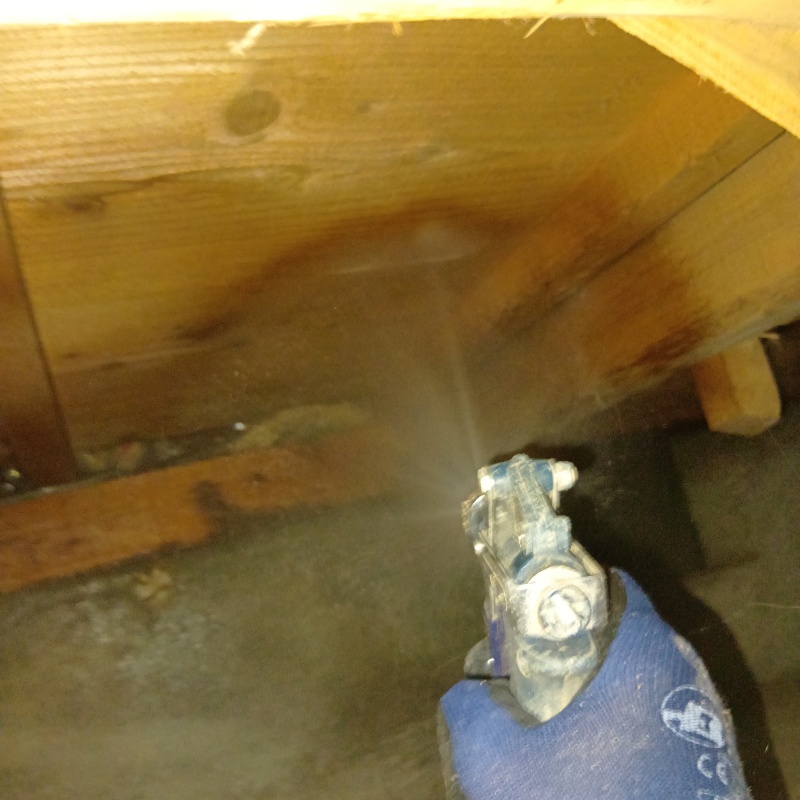 床下の木材にシロアリ駆除剤を散布