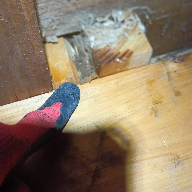 築年数28年のシロアリ駆除の施工事例（群馬県館林市広内町）