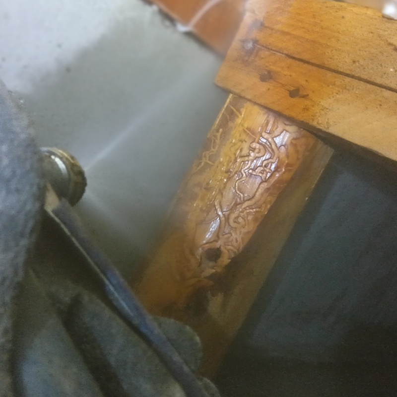 床下の木材にシロアリ駆除剤を散布