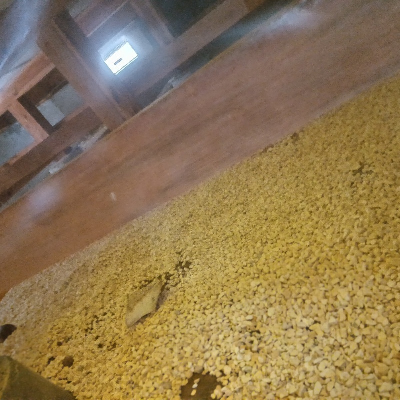 床下に調湿剤を敷き詰めた様子