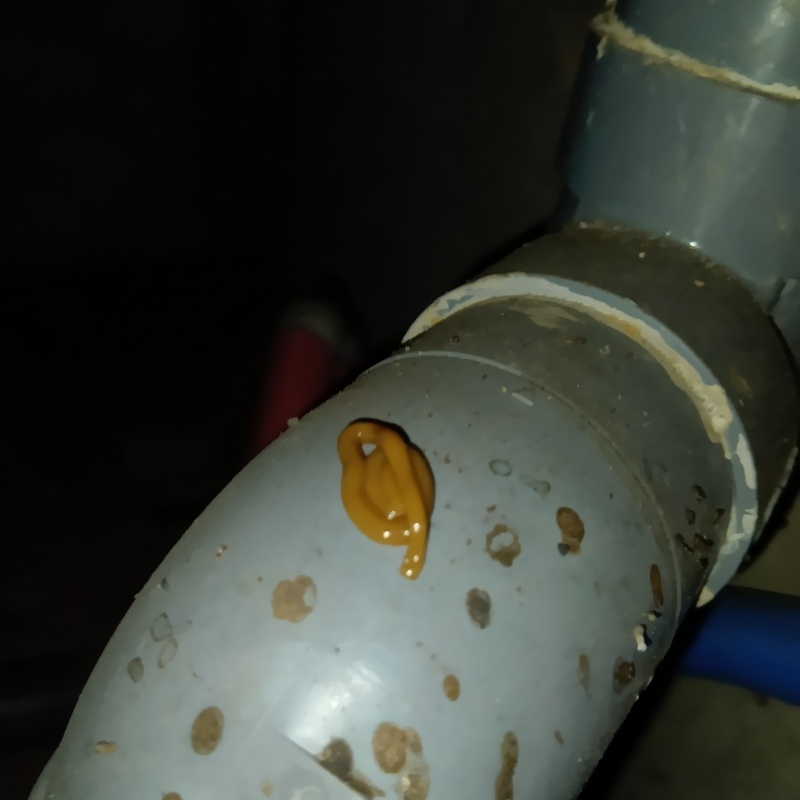 配管の上にベイト剤を設置