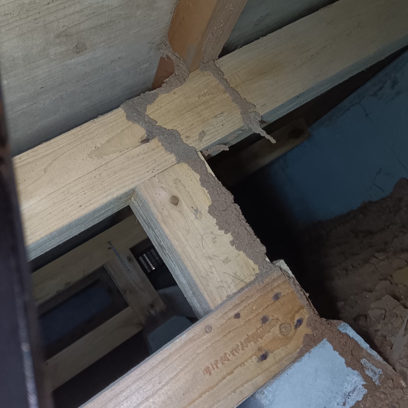 築年数33年のシロアリ駆除の施工事例（長崎県大村市荒瀬町）