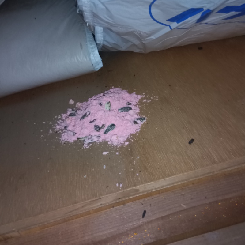 屋根裏に殺鼠剤を設置