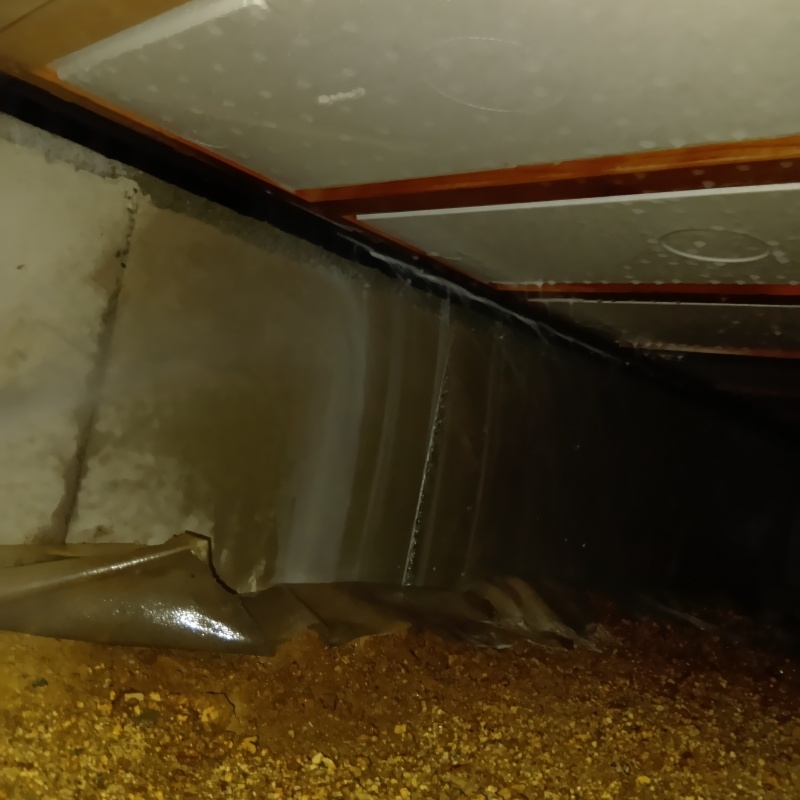 土壌処理が完了した様子