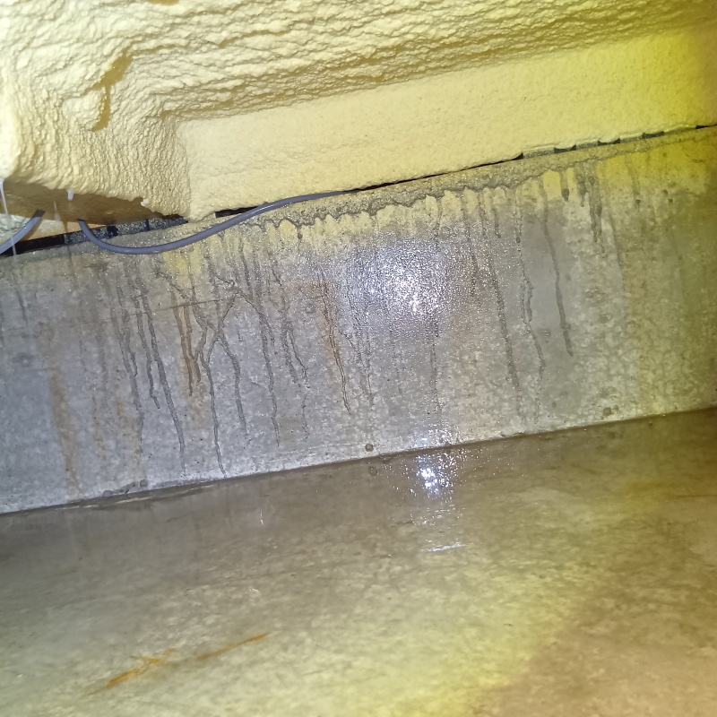 土壌処理が完了した様子