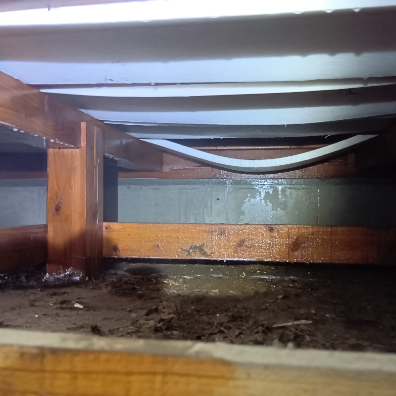 土壌処理が完了した様子