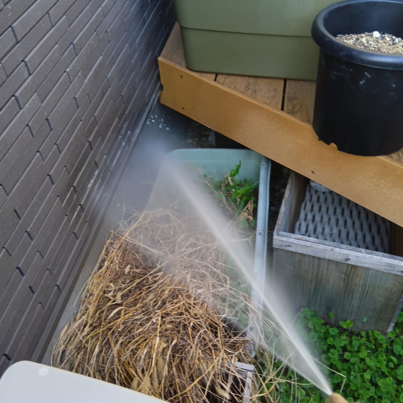 建物の外周に防蟻剤を散布