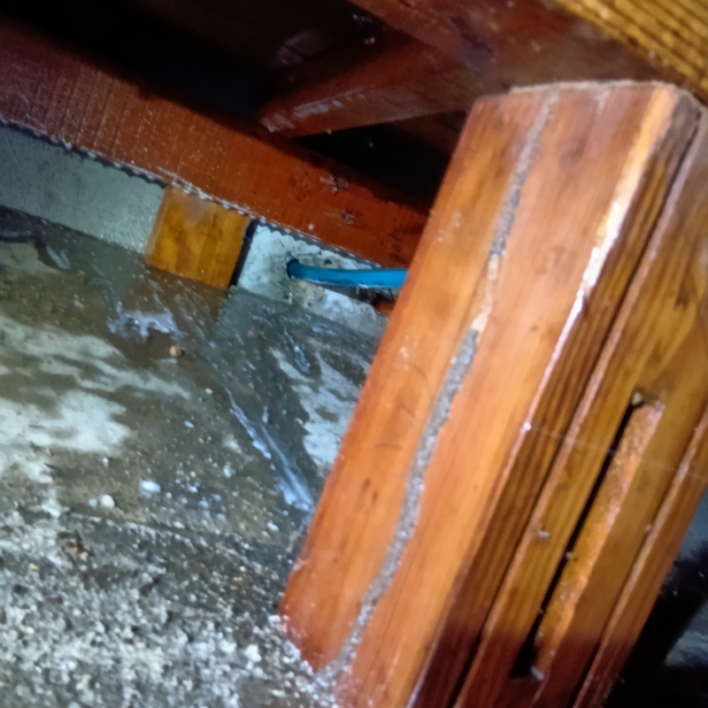 築年数30年のシロアリ駆除の施工事例（愛媛県西条市楠）