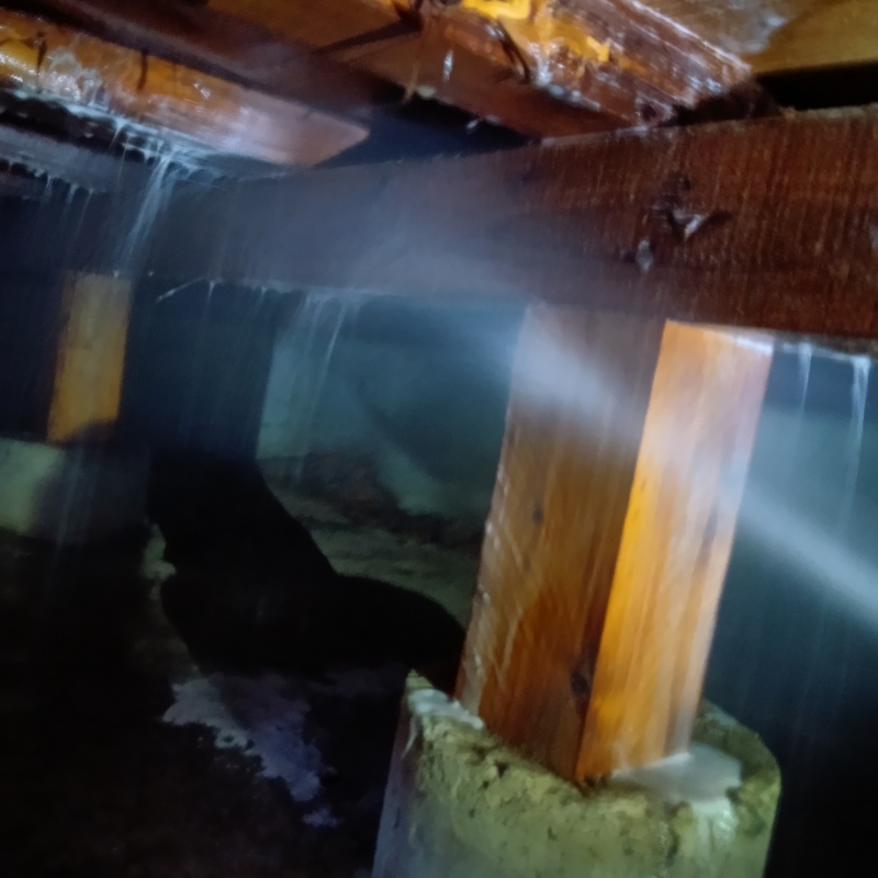 床下の木材にシロアリ駆除剤を散布