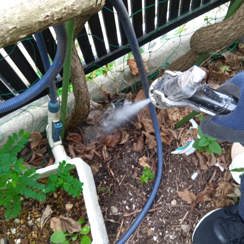 庭木にシロアリ駆除剤を散布