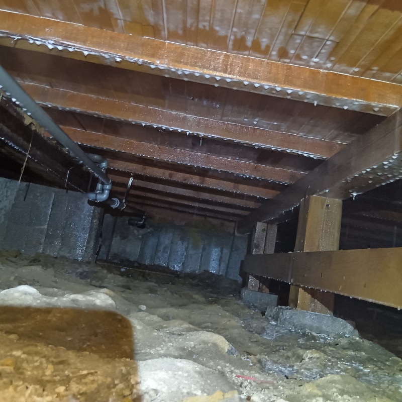 土壌処理が完了した様子