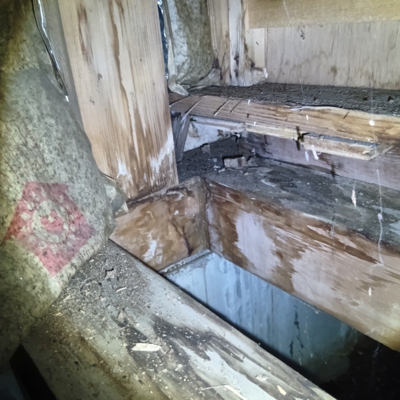 築年数30年のシロアリ駆除の施工事例（千葉県香取市野田）