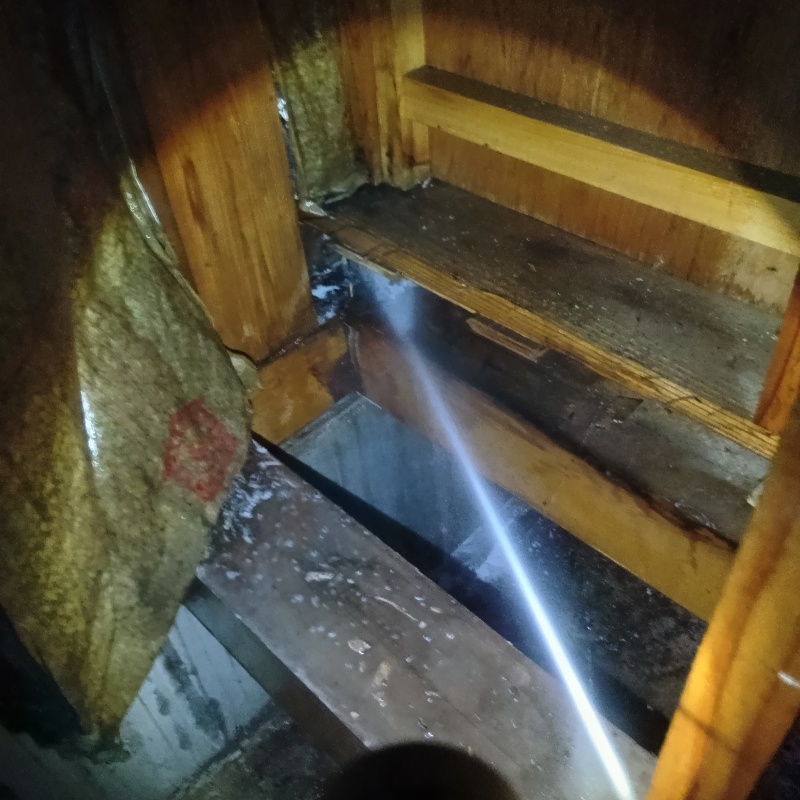 木製の階段にシロアリ駆除剤を散布