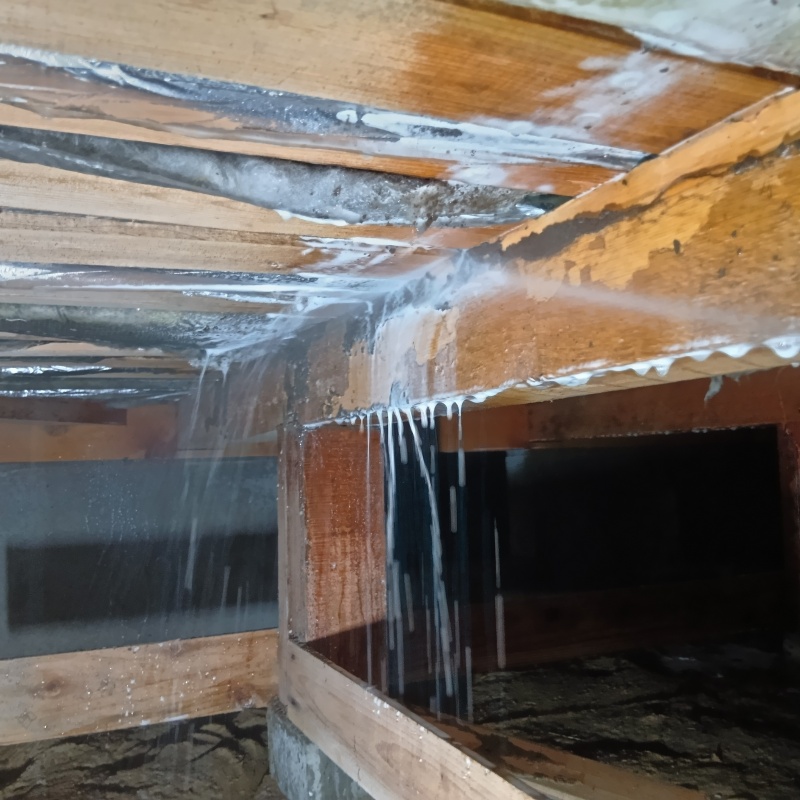 床下断熱材にシロアリ駆除剤を散布