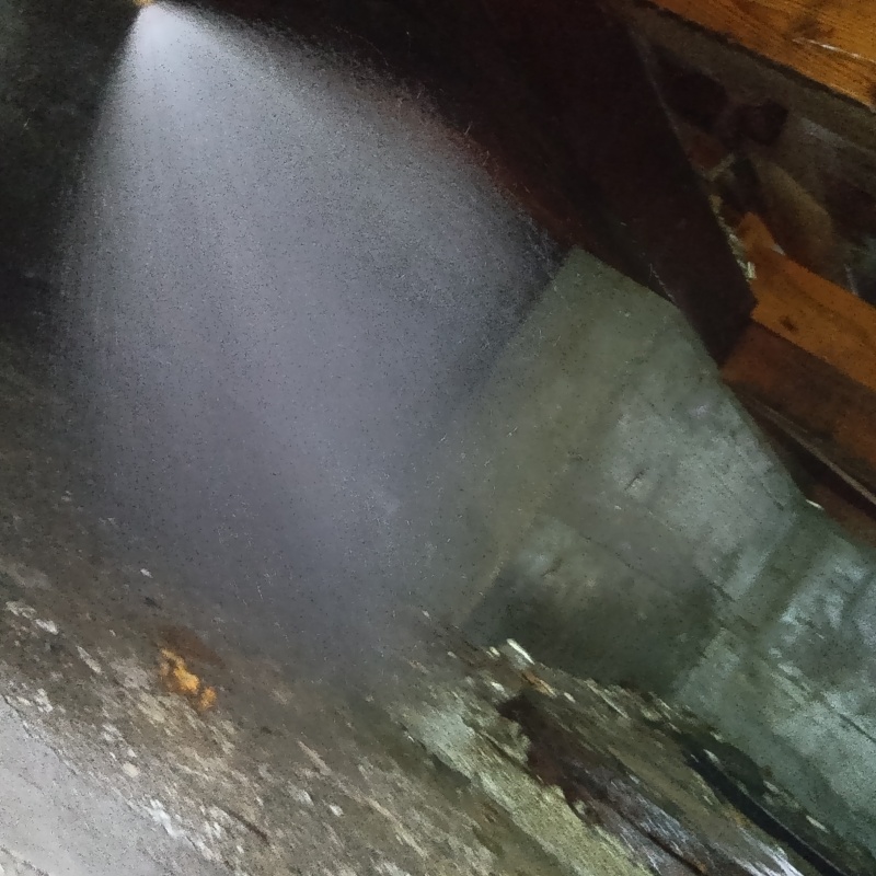 地面・基礎にシロアリ駆除剤を散布