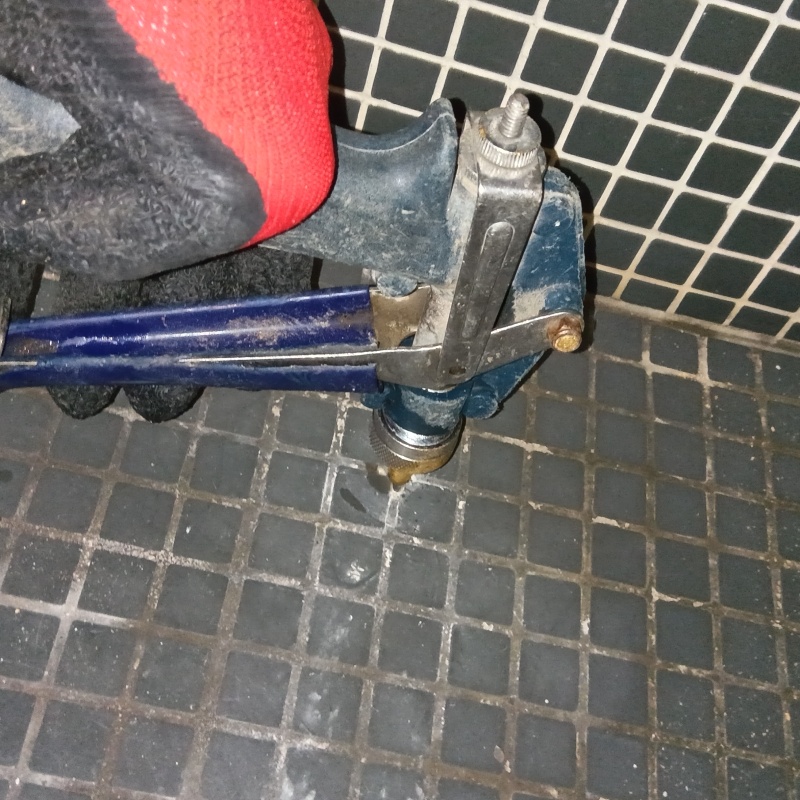 浴室床の目地からシロアリ駆除剤を注入