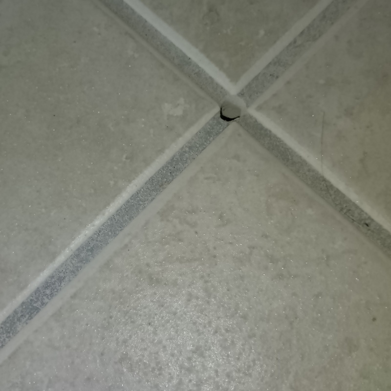 防蟻剤を注入するための穴を開けた様子