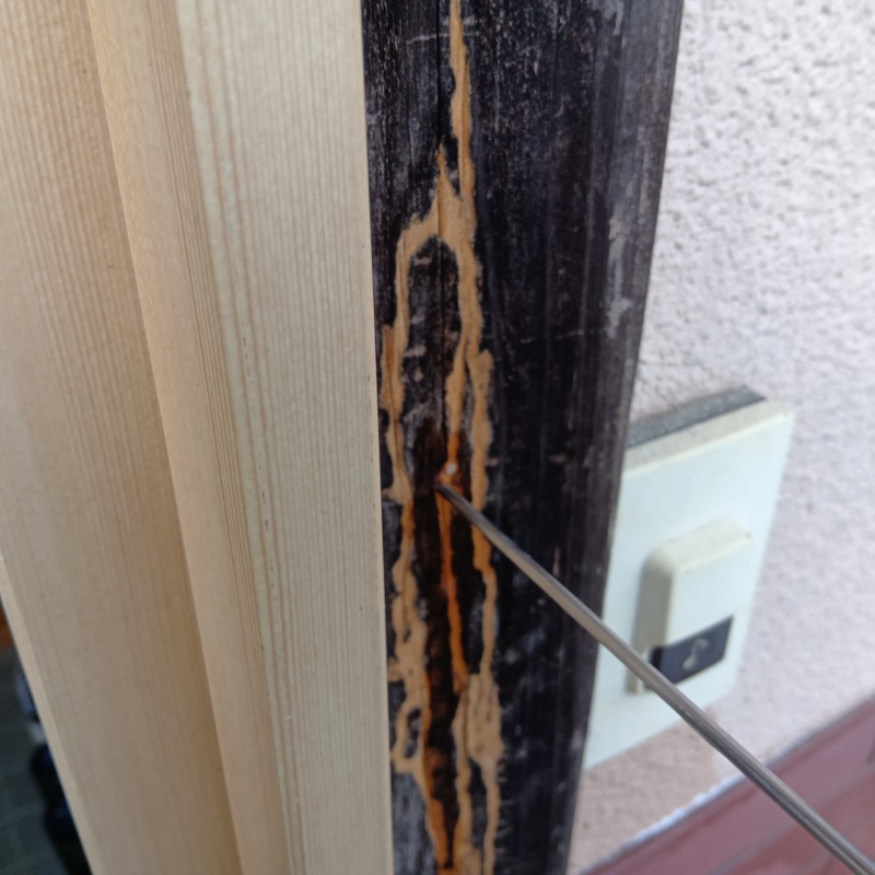 築年数30年のシロアリ駆除の施工事例（茨城県行方市玉造甲）