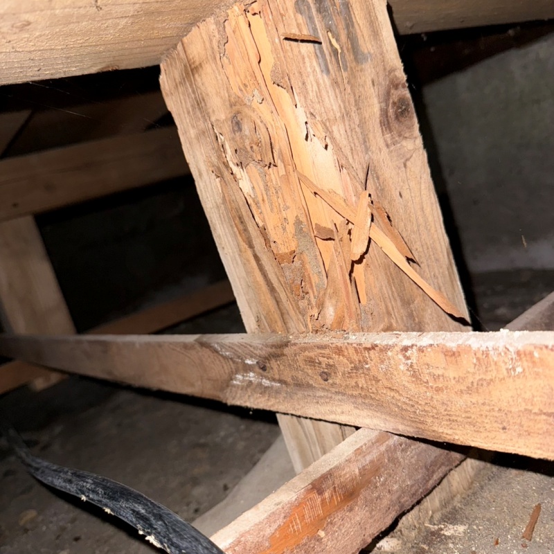 築年数45年のシロアリ駆除の施工事例（富山県滑川市堀江）