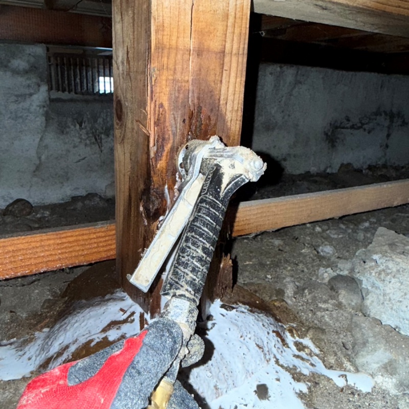 床下木材にシロアリ駆除剤を吹き付ける様子