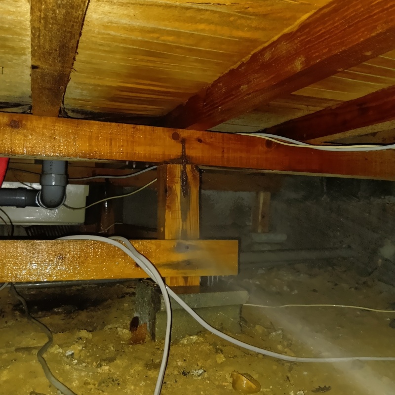 床下木材にシロアリ駆除剤を吹き付ける様子