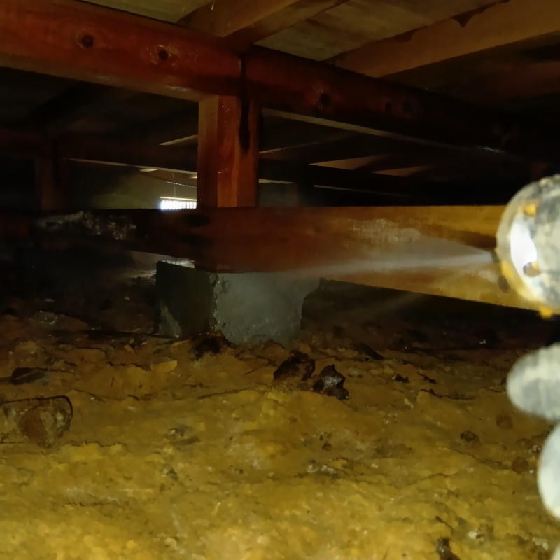 地面にシロアリ駆除剤を散布