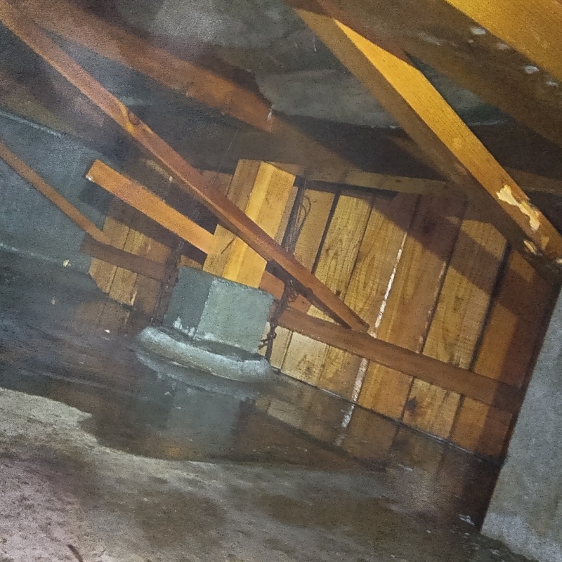 地面・基礎にシロアリ駆除剤を散布した様子