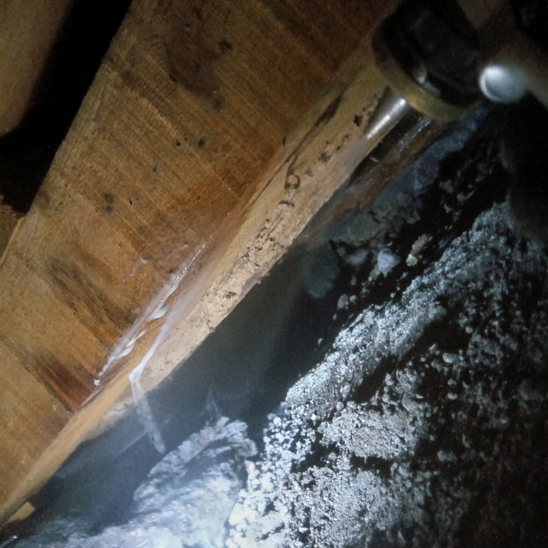 地面にシロアリ駆除剤を吹き付ける様子