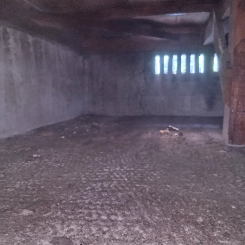 地面・基礎にシロアリ駆除剤を散布した様子