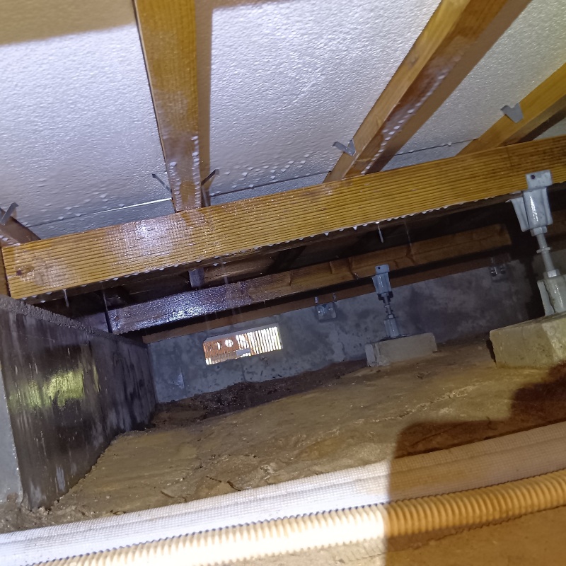 地面・基礎にシロアリ駆除剤を散布した様子