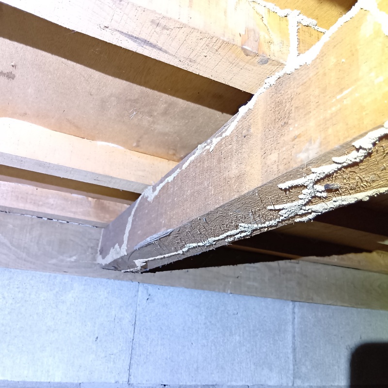 築年数43年のシロアリ駆除の施工事例（大阪府吹田市山田東）