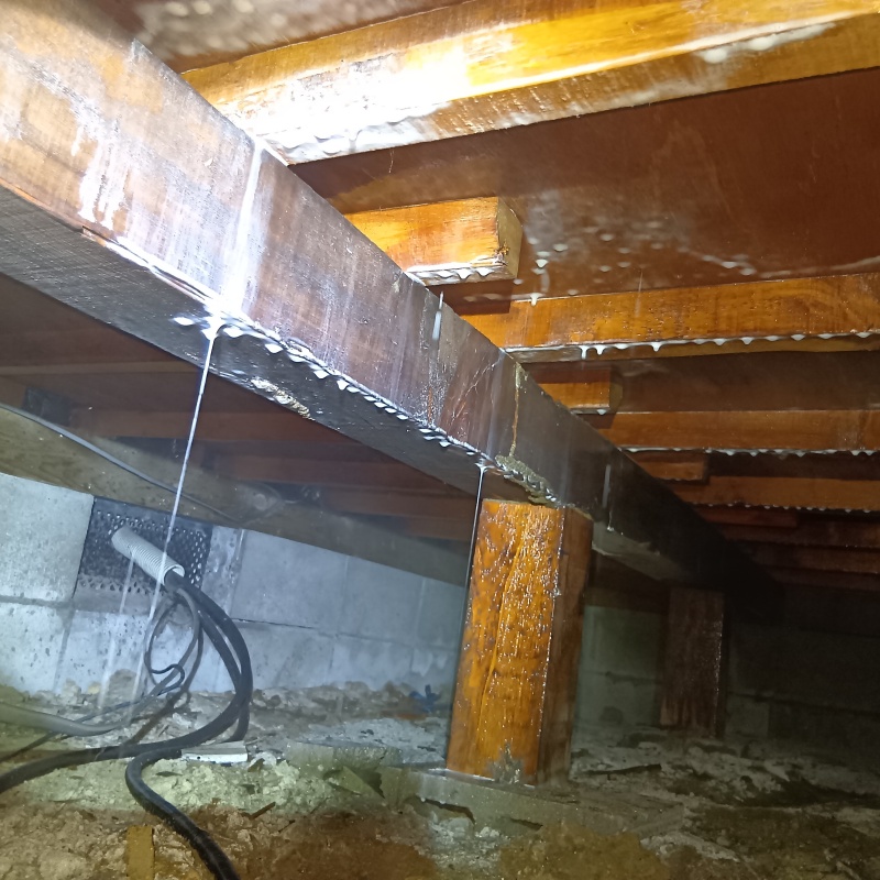 床下木材・断熱材にシロアリ駆除剤を散布した様子