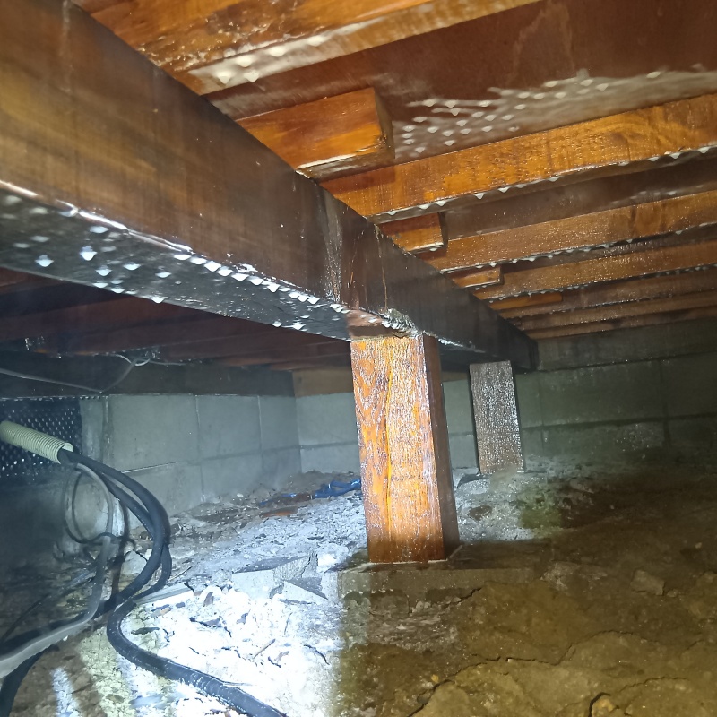 地面・基礎にシロアリ駆除剤を散布した様子