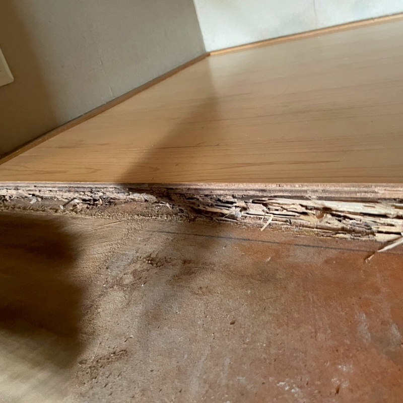 築年数30年のシロアリ駆除の施工事例（栃木県矢板市富田）