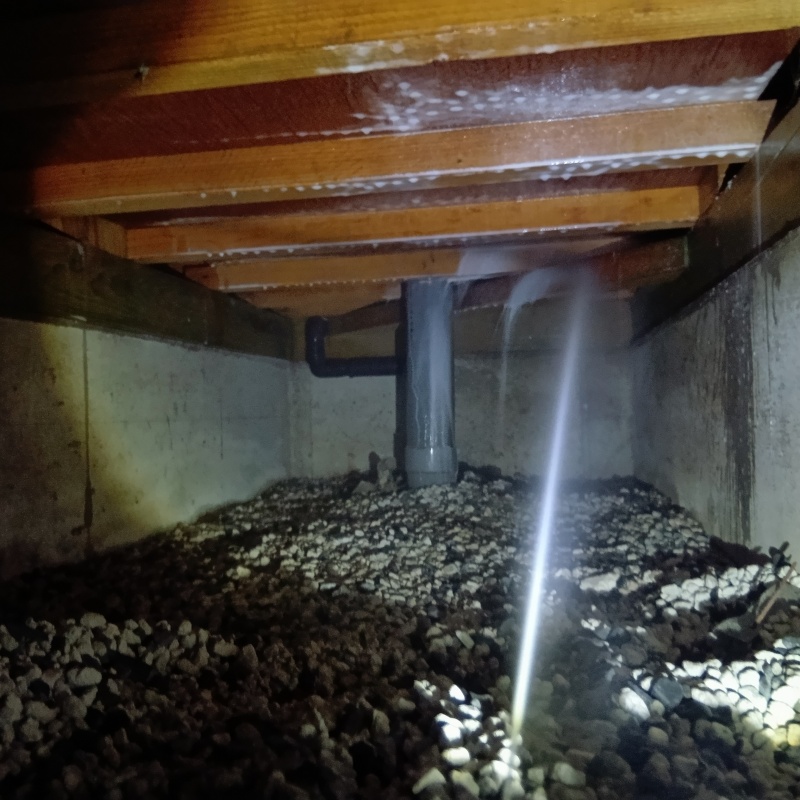 築年数30年のシロアリ駆除の施工事例（埼玉県所沢市）