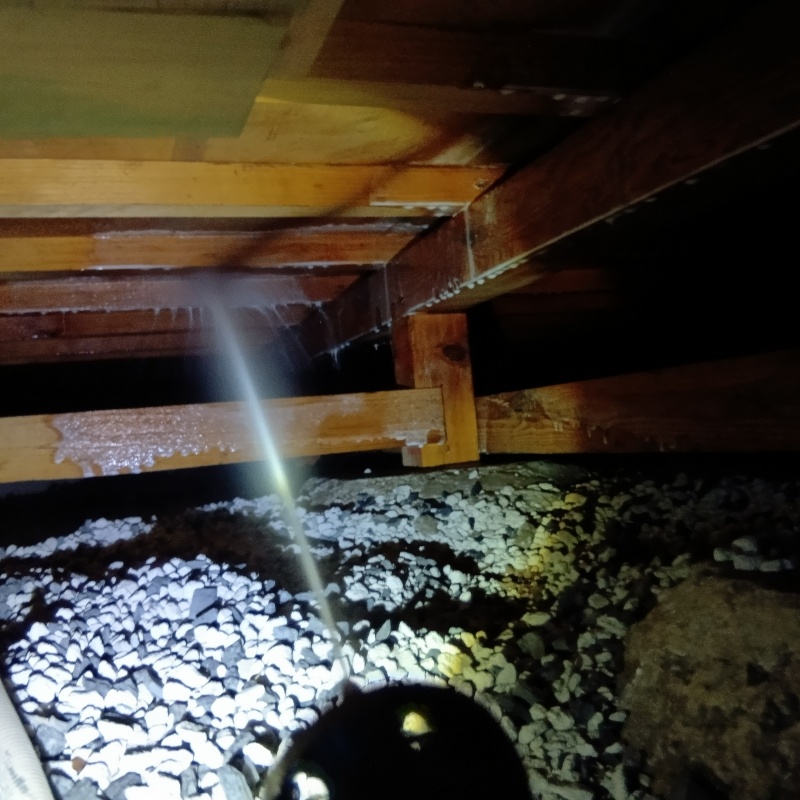 床下木材にシロアリ駆除剤を散布