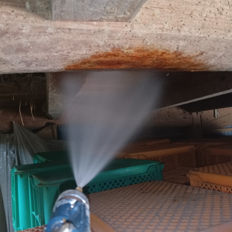 床下木材にシロアリ駆除剤を散布