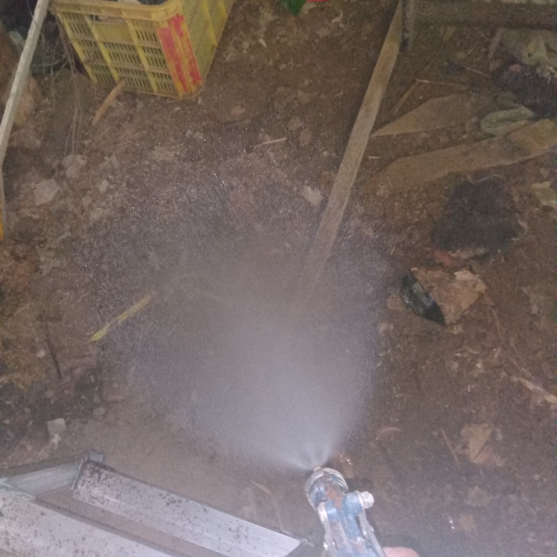 建物外周の土壌にシロアリ駆除剤を吹き付けている様子