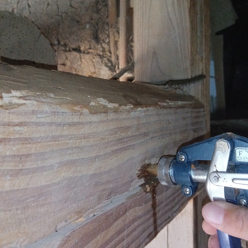 傷んだ木材に直接シロアリ駆除剤を注入