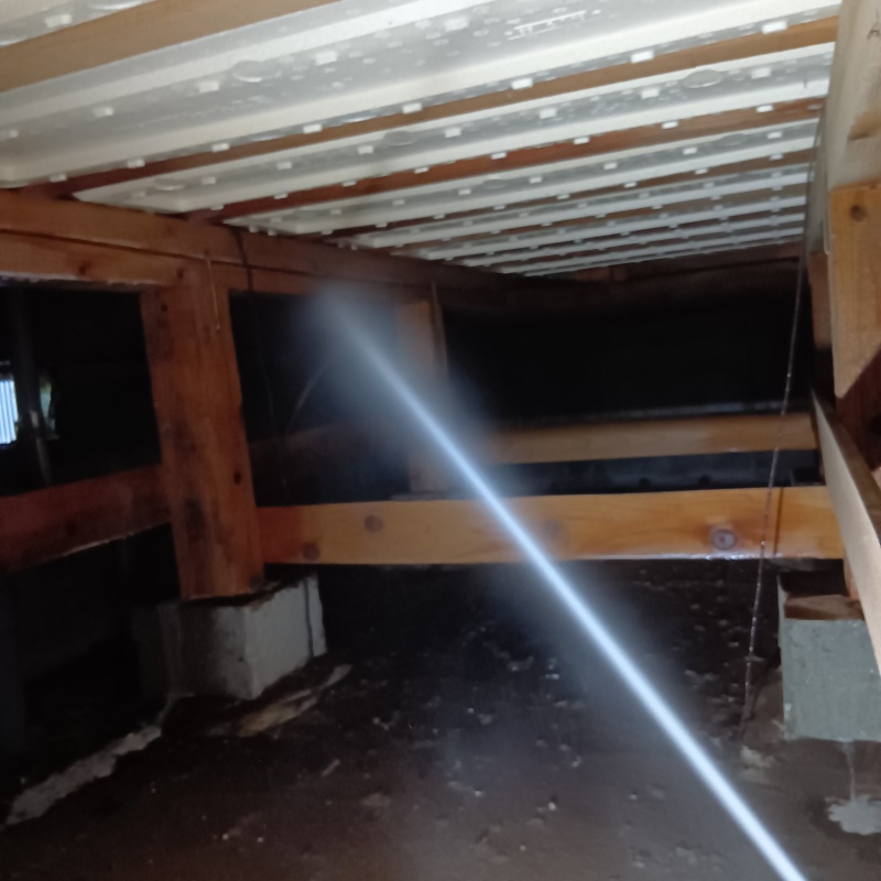 床下木材にシロアリ駆除剤を散布