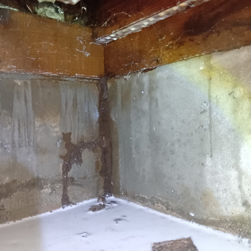 地面・基礎にシロアリ駆除剤を散布した様子