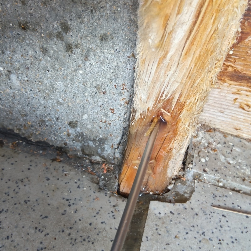 傷んだ木材に穴を開けてシロアリ駆除剤を注入