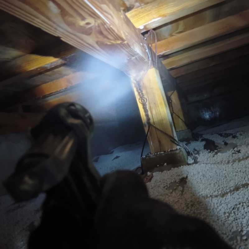 床下木材に防蟻剤を散布