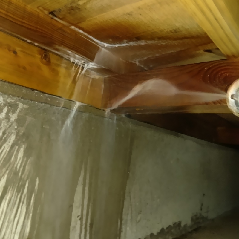 床下木材にシロアリ駆除剤を吹き付ける様子