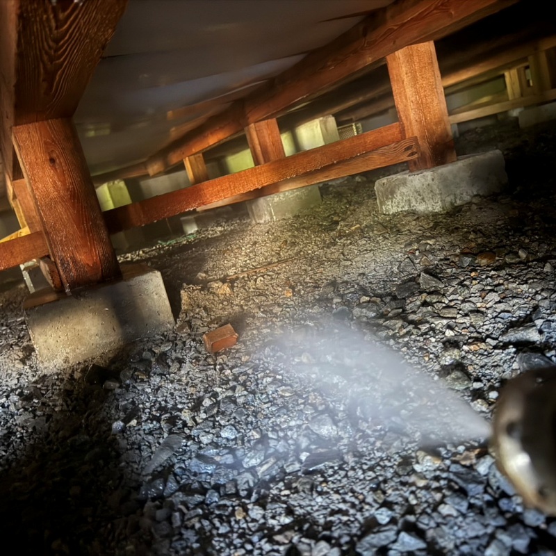 地面にシロアリ駆除剤を散布